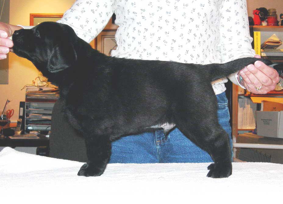 Blackboy5weeks