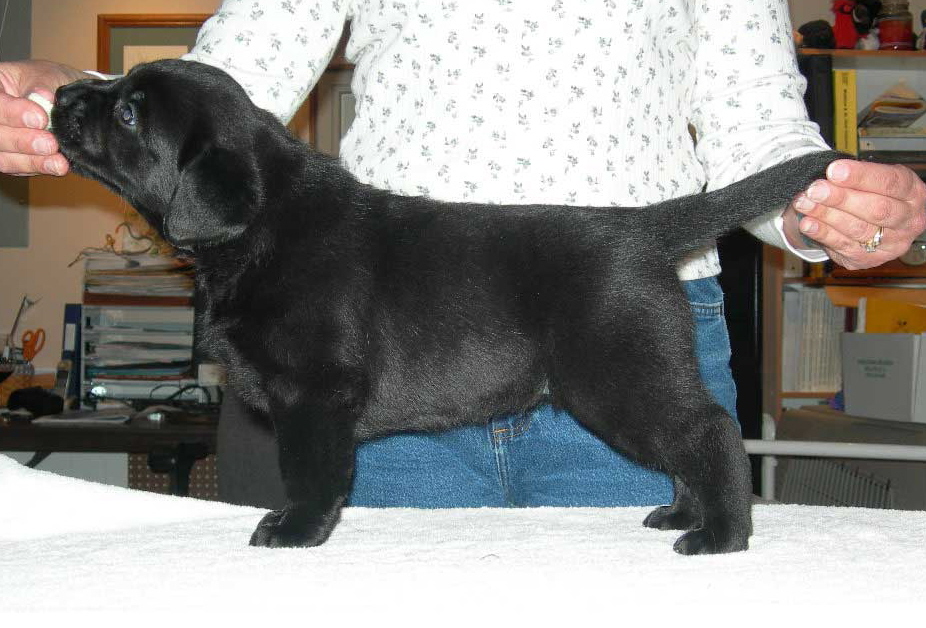 Blackgirl5weeks