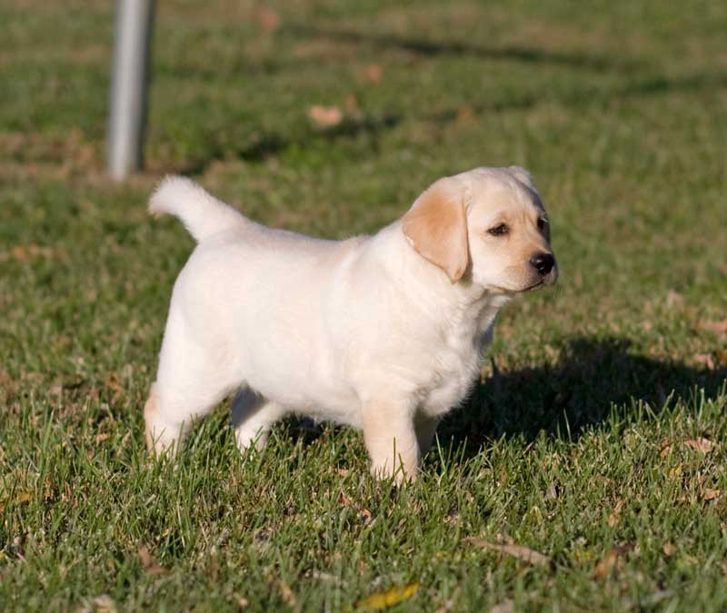 Giggle-8wks-2-small