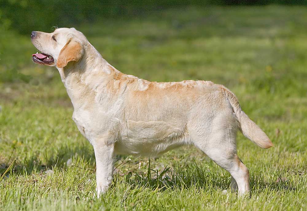 Sizzle-1-yr-no-lead