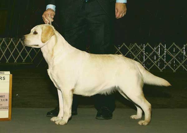 Uno-WB-major-Beaufort-KC