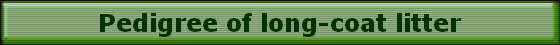 Pedigree of long-coat litter