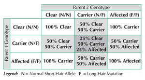 fluffy-chart.jpg